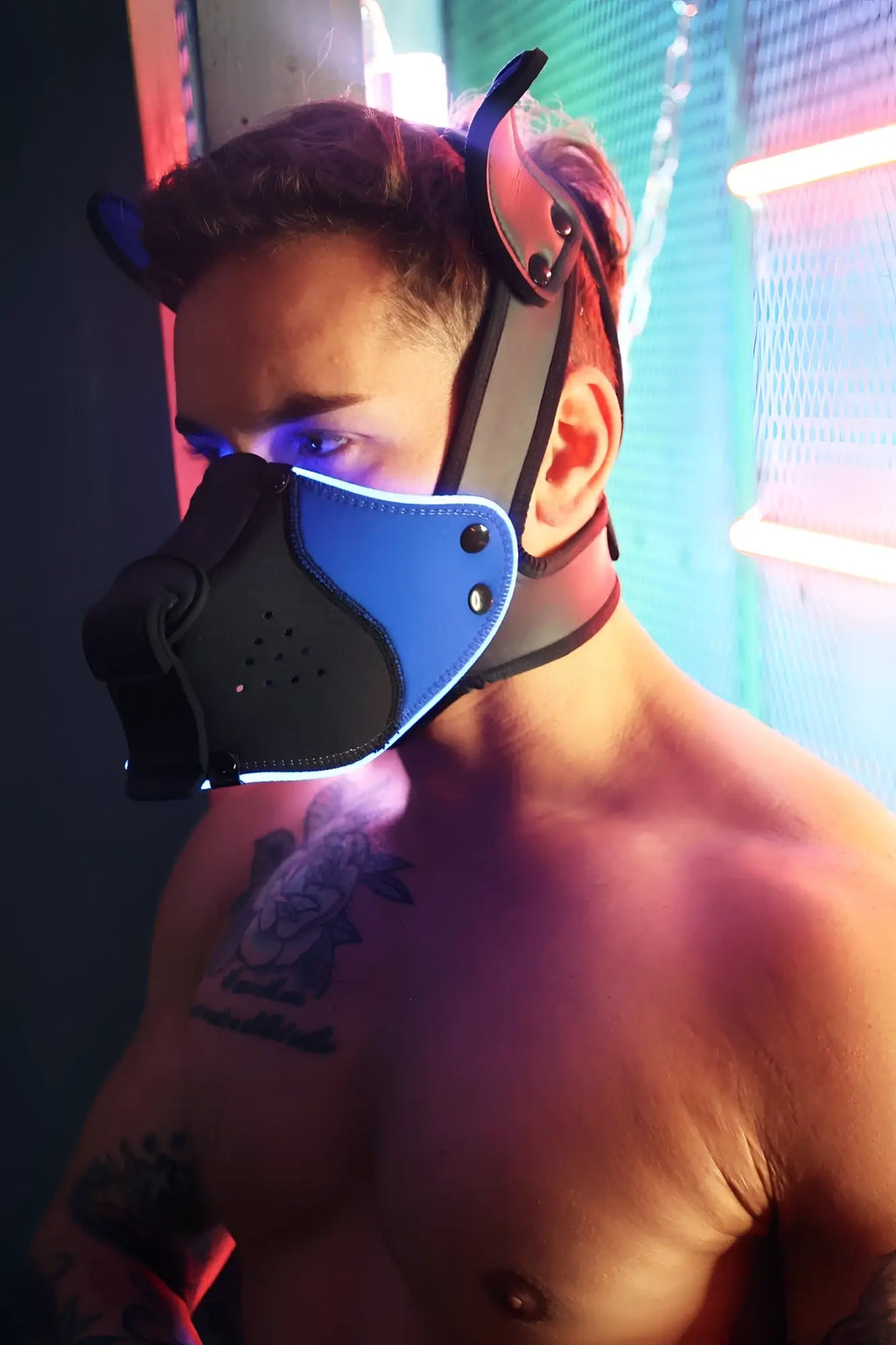 Blue and black leather dog mask with adjustable straps for secure fit from poundtown pup mask 2.0 collection