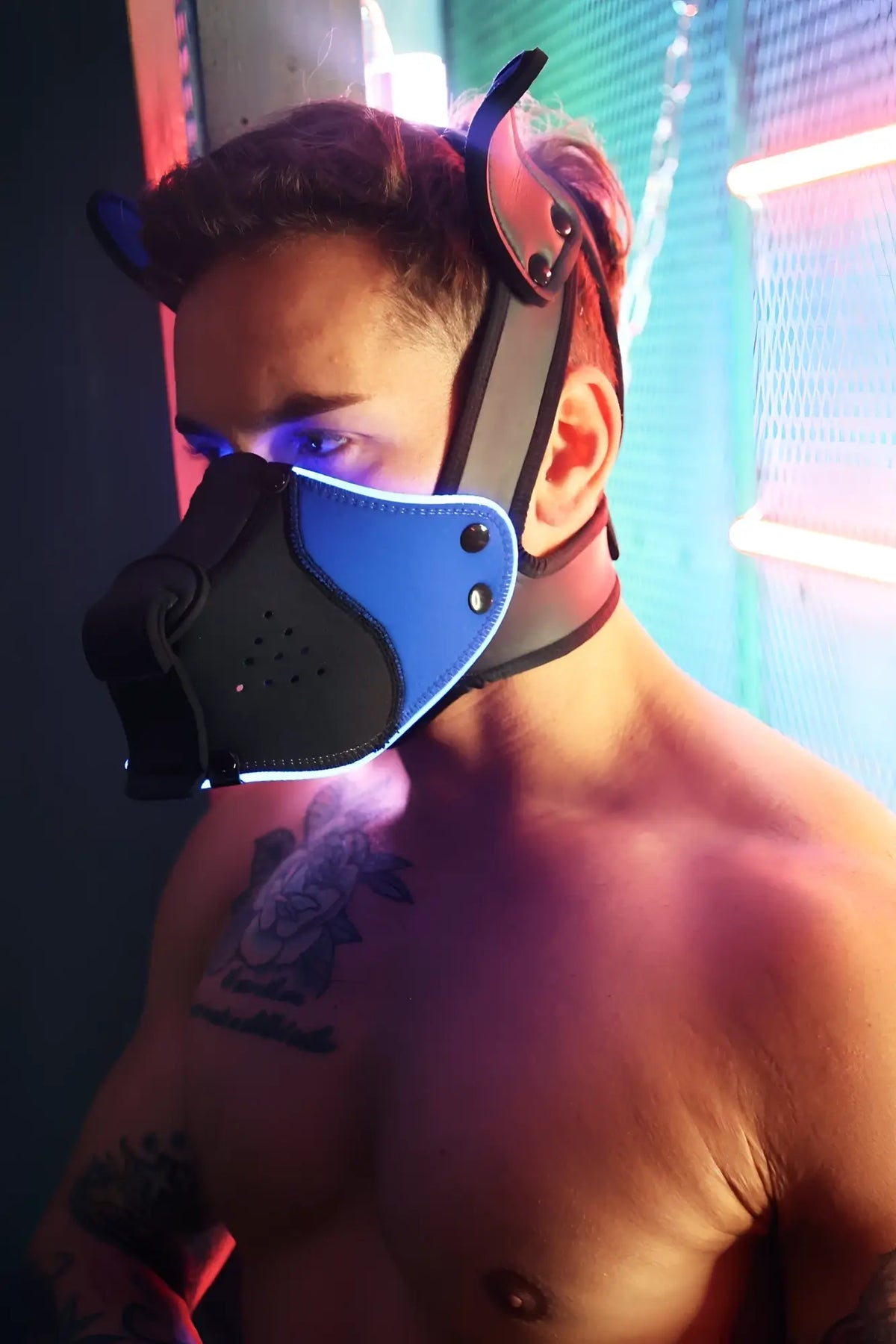 Blue and black leather dog mask with adjustable straps for secure fit from poundtown pup mask 2.0 collection