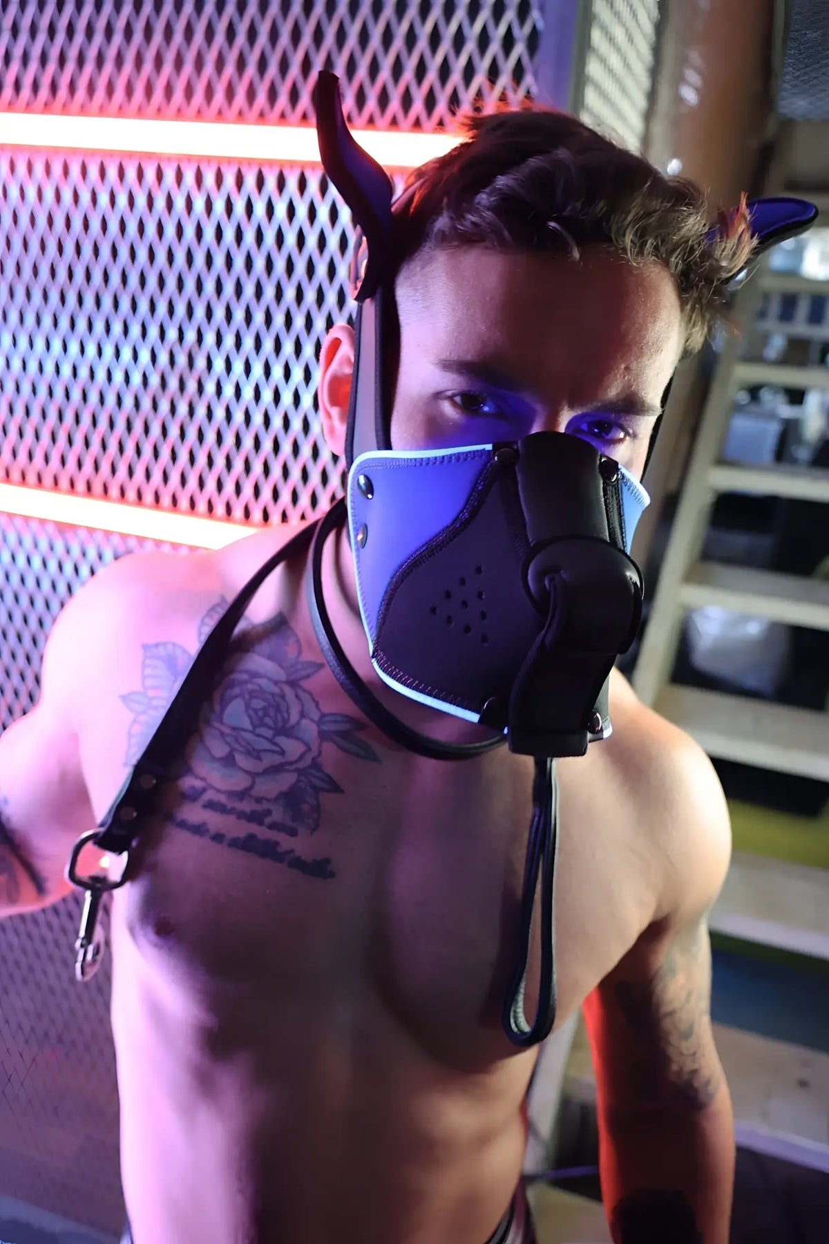 Blue and black leather Poundtown pup mask 2.0 muzzle with horn attachments designed for stylish wear