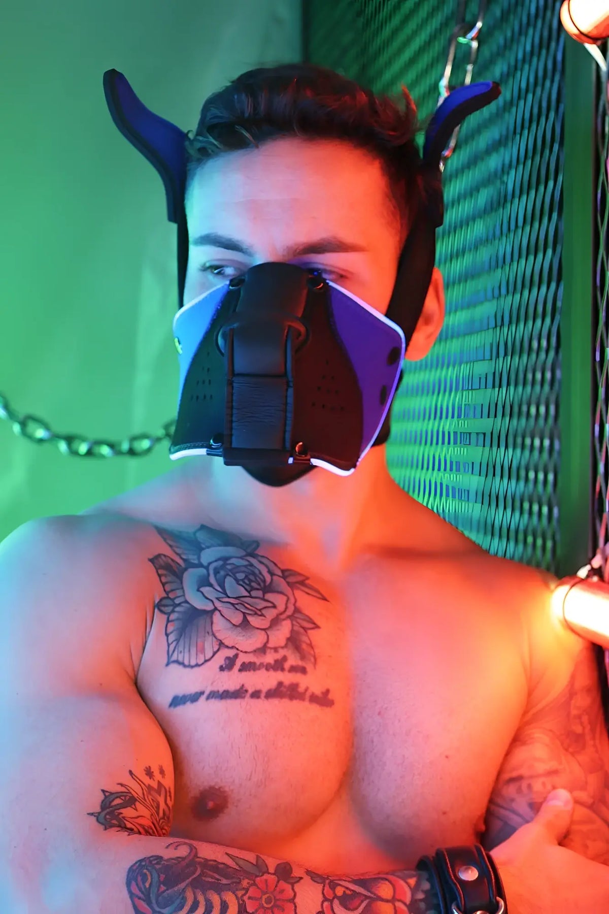 Black and purple devil-themed adjustable muzzle straps on poundtown pup mask 2.0 blue showing the back side