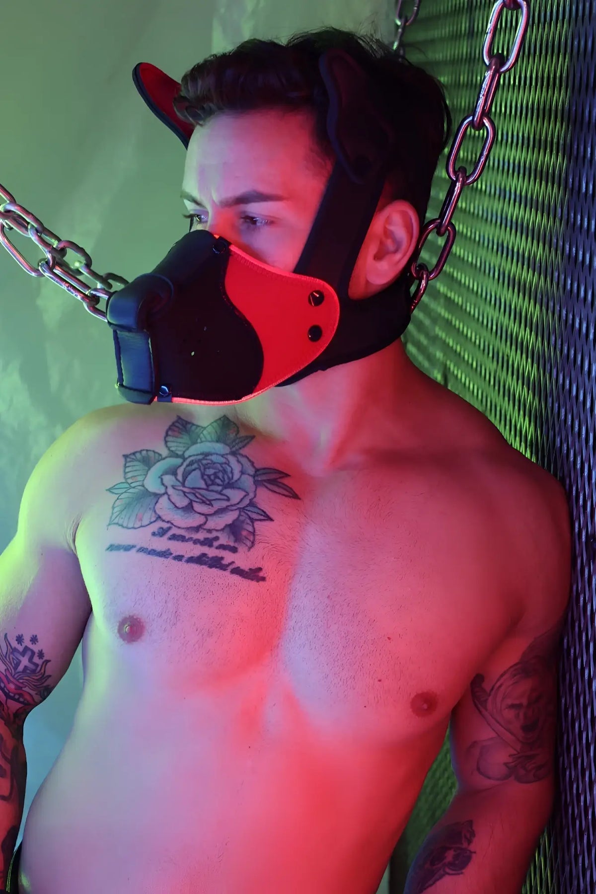 Poundtown pup mask 2.0 red black and red leather dog mask with metal chain attachment for secure fit