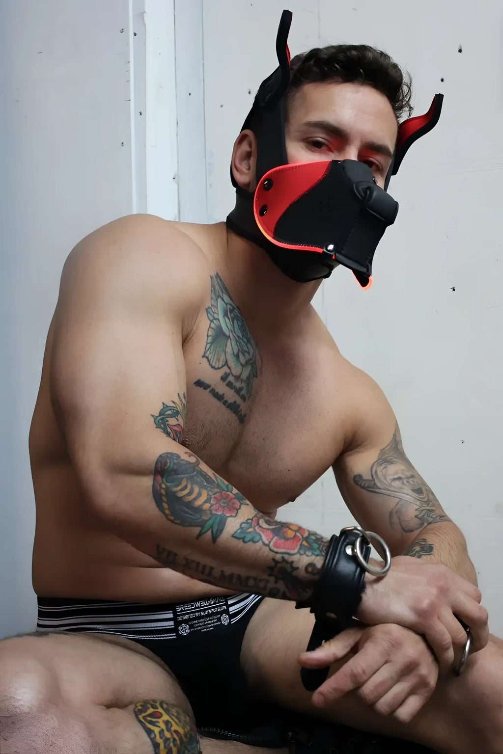 Black and red leather dog mask with horn-like protrusions poundtown pup mask 2.0 red for pup play