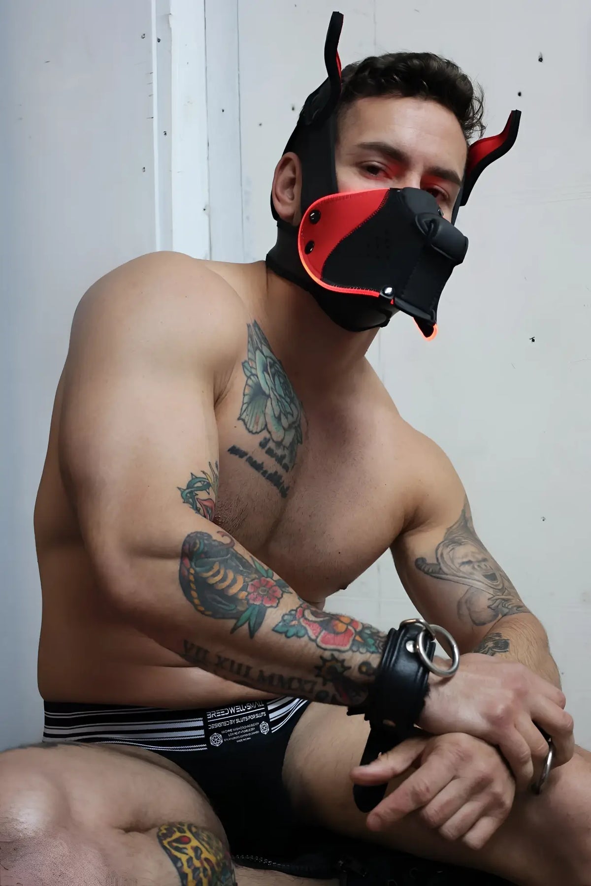 Black and red leather dog mask with horn-like protrusions poundtown pup mask 2.0 red for pup play