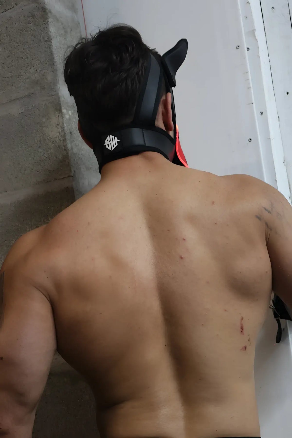 Black leather Poundtown Pup Mask 2.0 with red accents and white logo shown from the back side