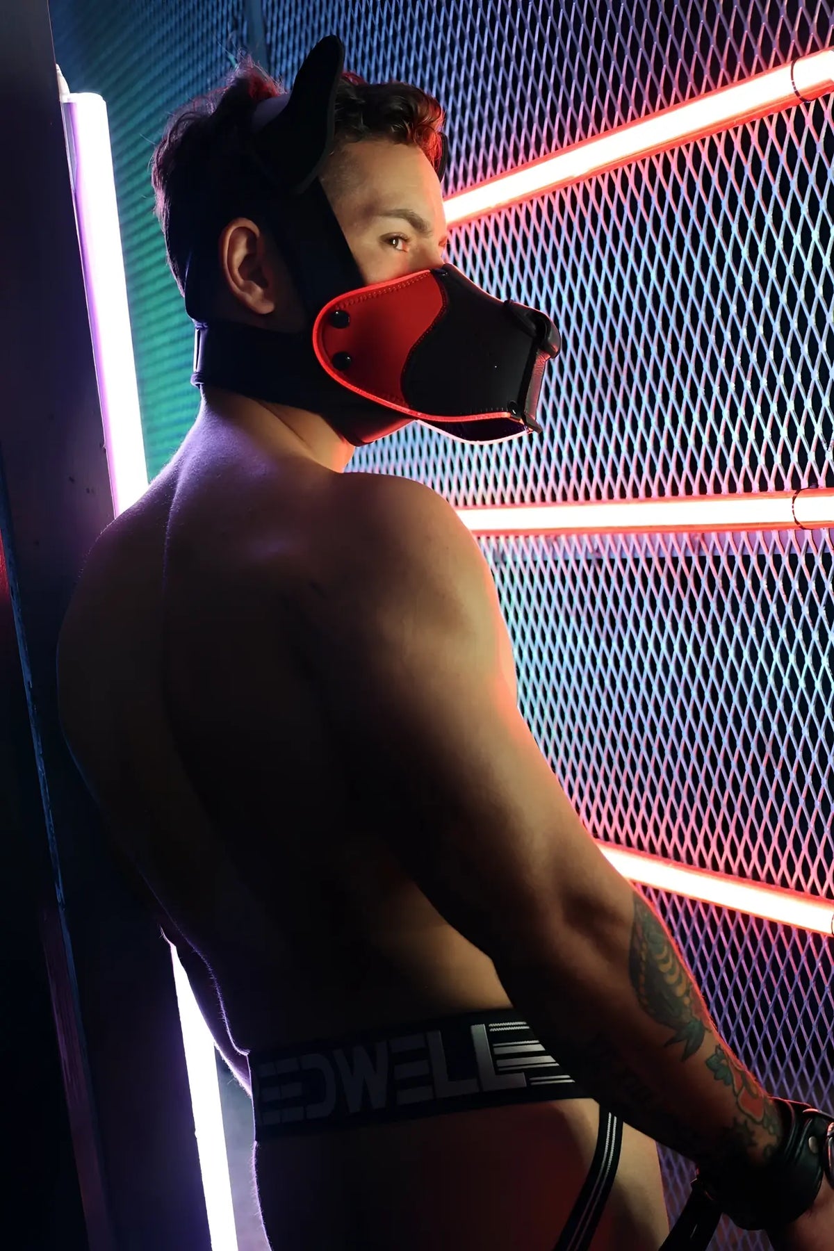 Black and red leather cat ear muzzle Poundtown Pup Mask 2.0 designed for pup play and cosplay use