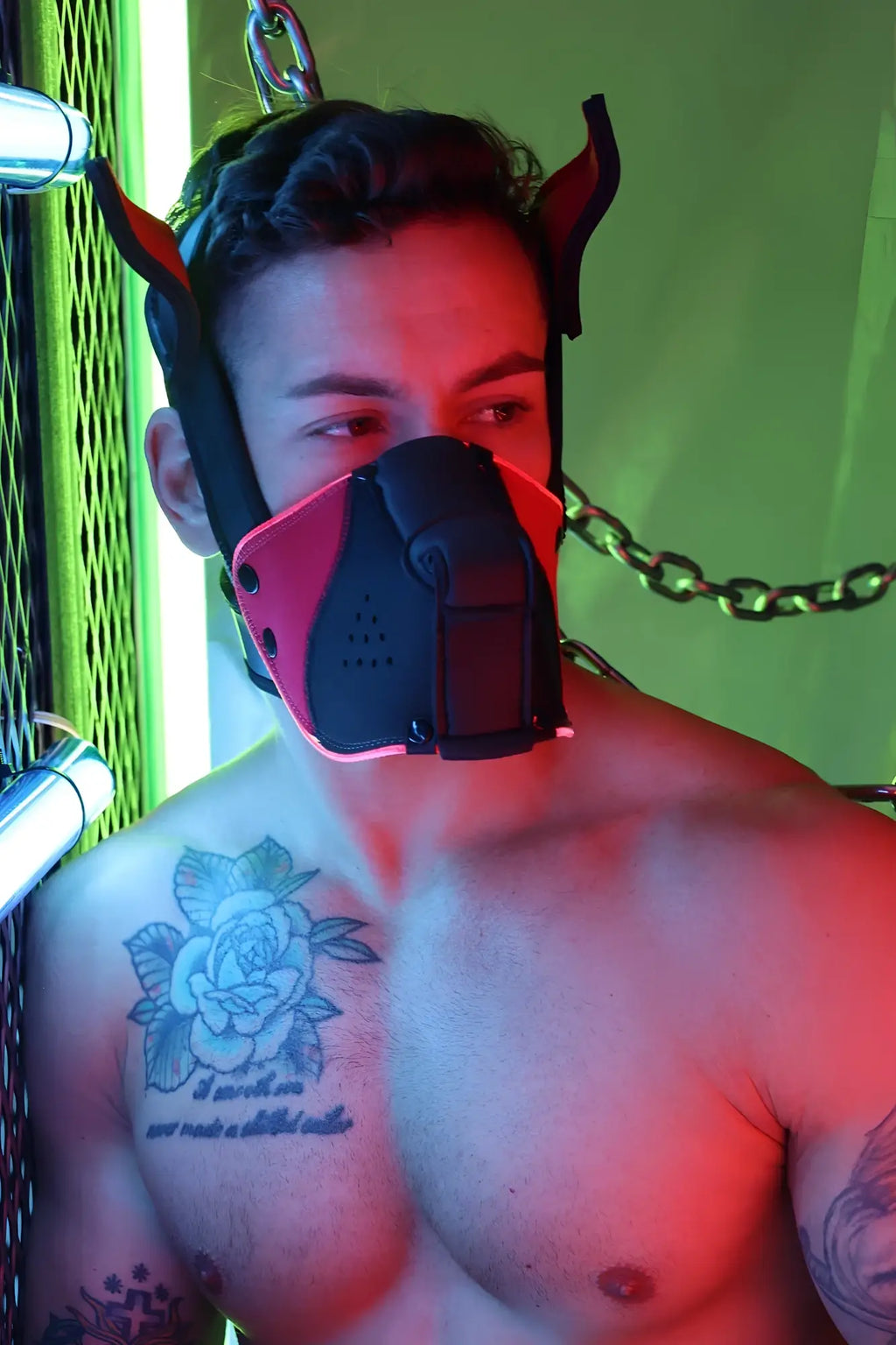 Black and red leather muzzle with devil horns poundtown pup mask 2.0 for cosplay or role play