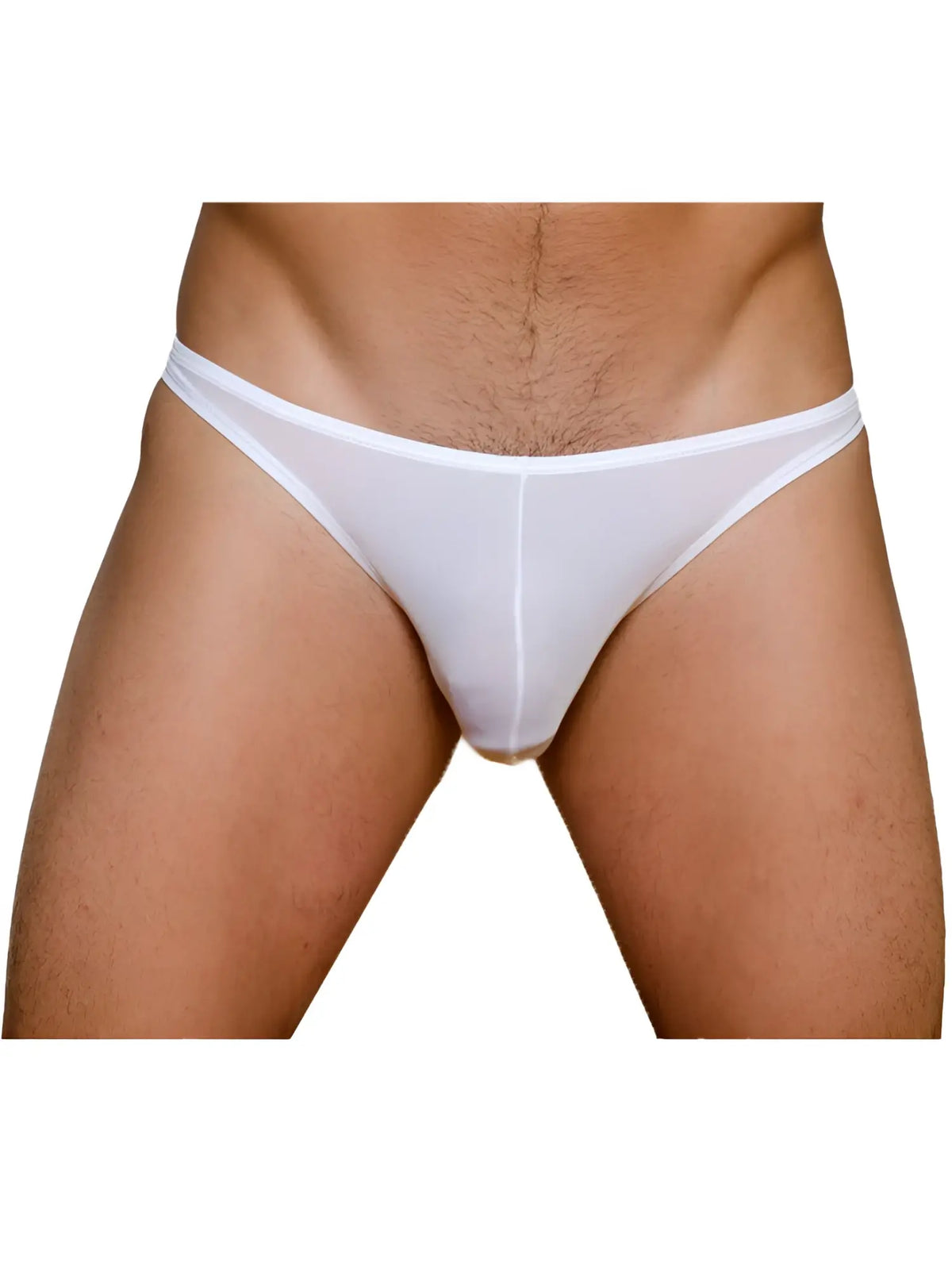 White sheer mesh briefs with narrow waistband and minimal coverage from the pride metro rio bikini 3-pack