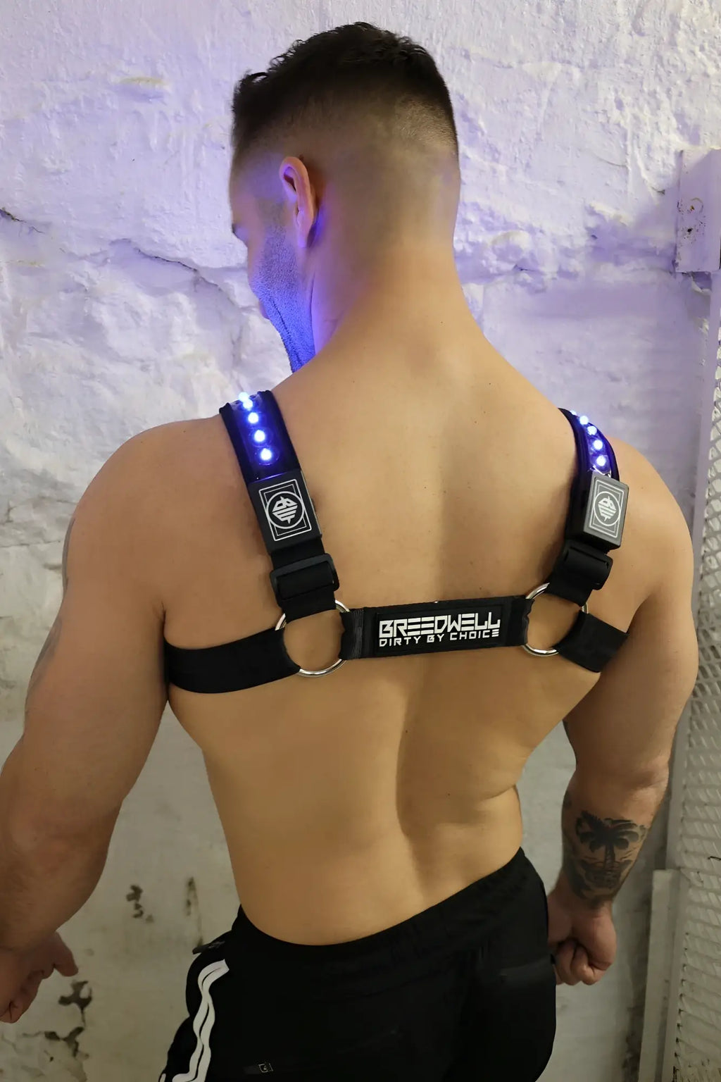 Black prismaglow bulldog harness with led lights silver metal rings and breedwell brand label across center