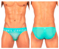 Turquoise sheer mesh briefs with private structure branding on the waistband from the private structure BRUT4392 bare bikini line
