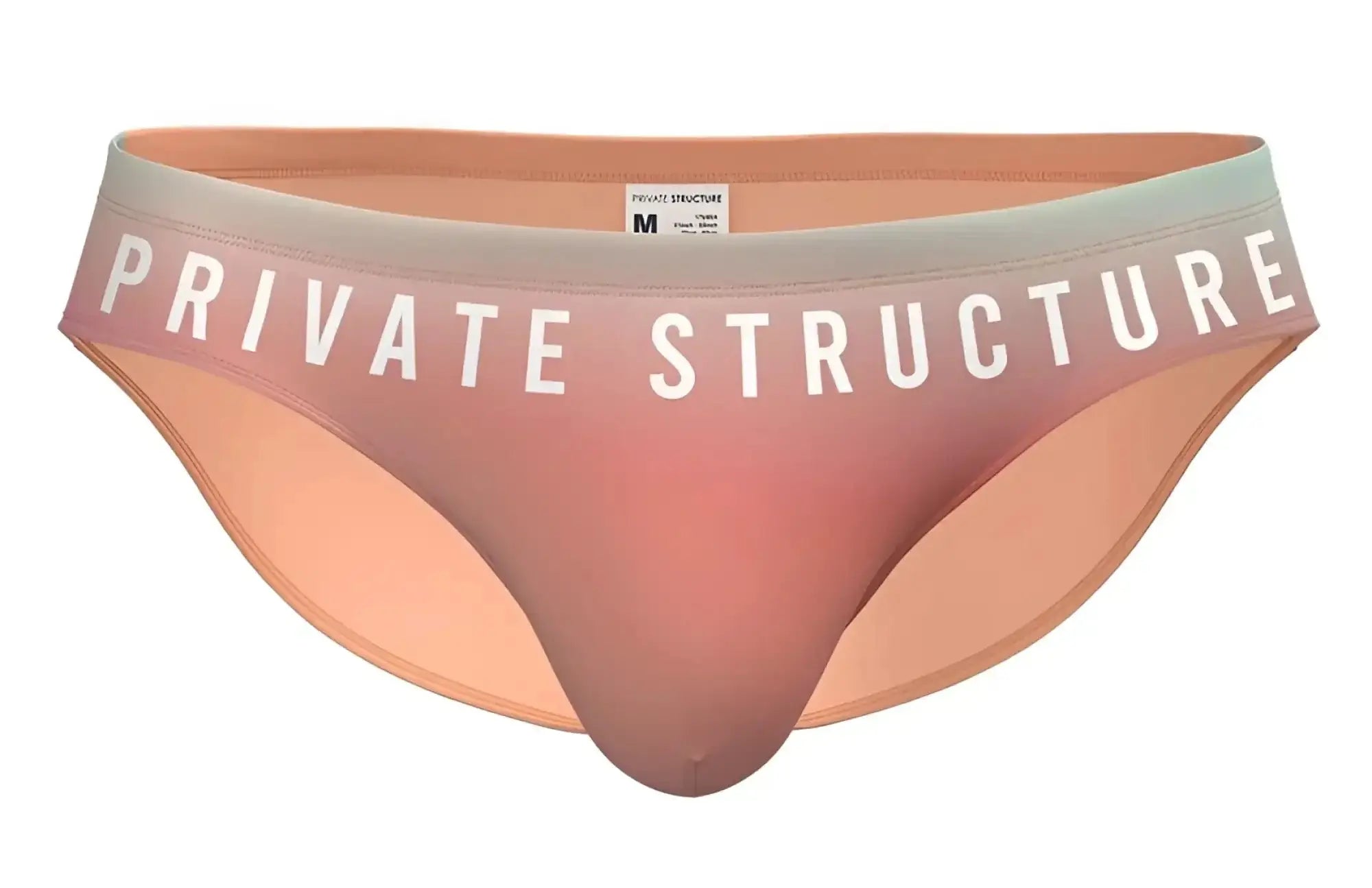 Private Structure BRUT4392 sheer peach mesh bikini brief with white logo band on the waistband in orange color