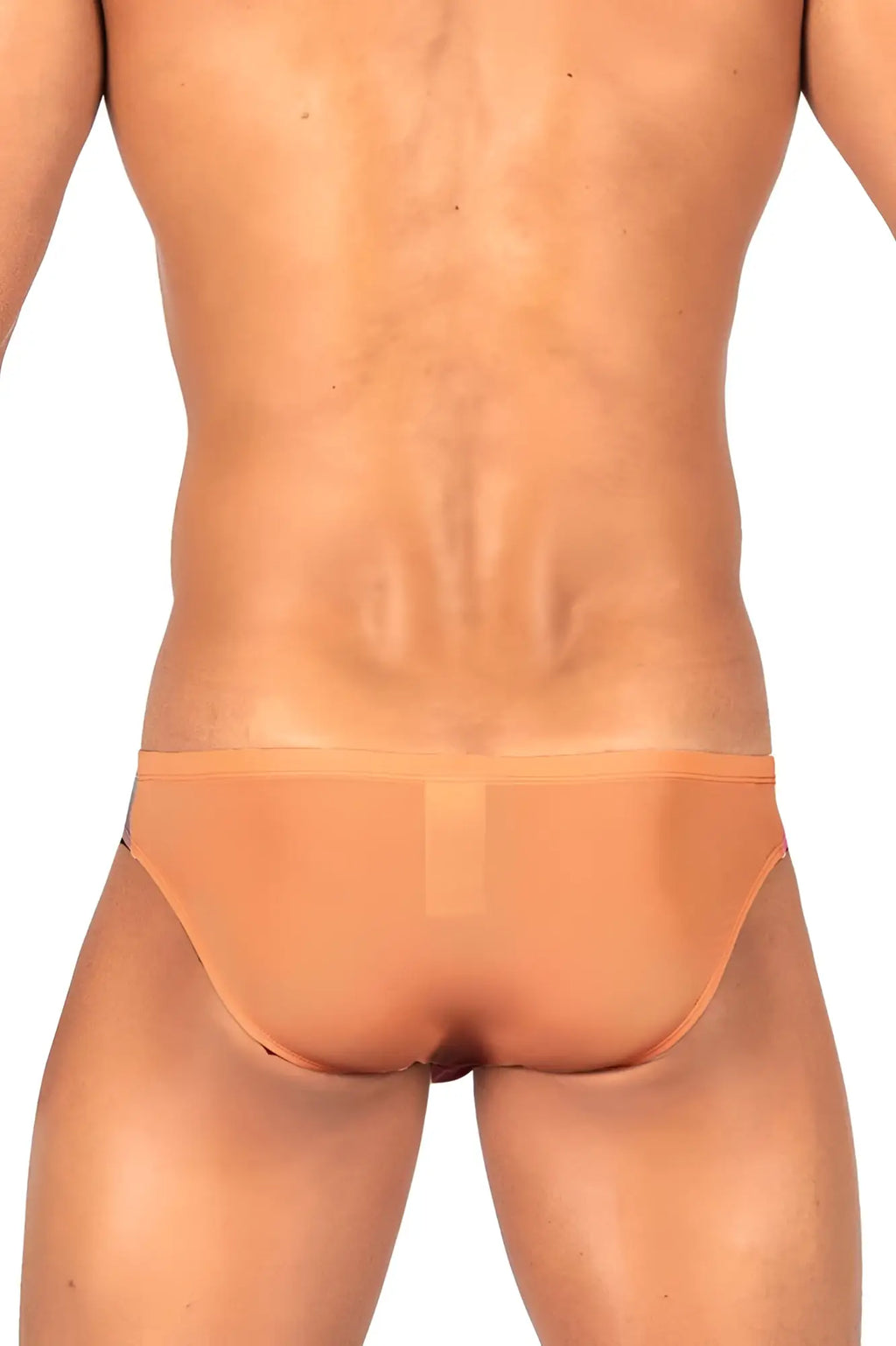 Tan sheer mesh briefs in private structure bruta4392 bare bikini orange showing front side design
