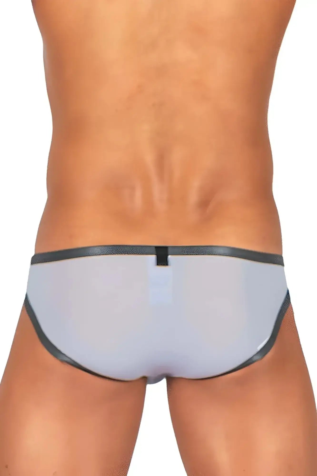 Private structure brut4393 bare bikini lilac color gray translucent briefs with black trim and small central tab front view