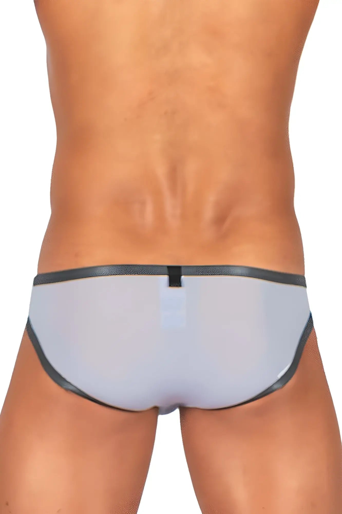 Private structure brut4393 bare bikini lilac color gray translucent briefs with black trim and small central tab front view