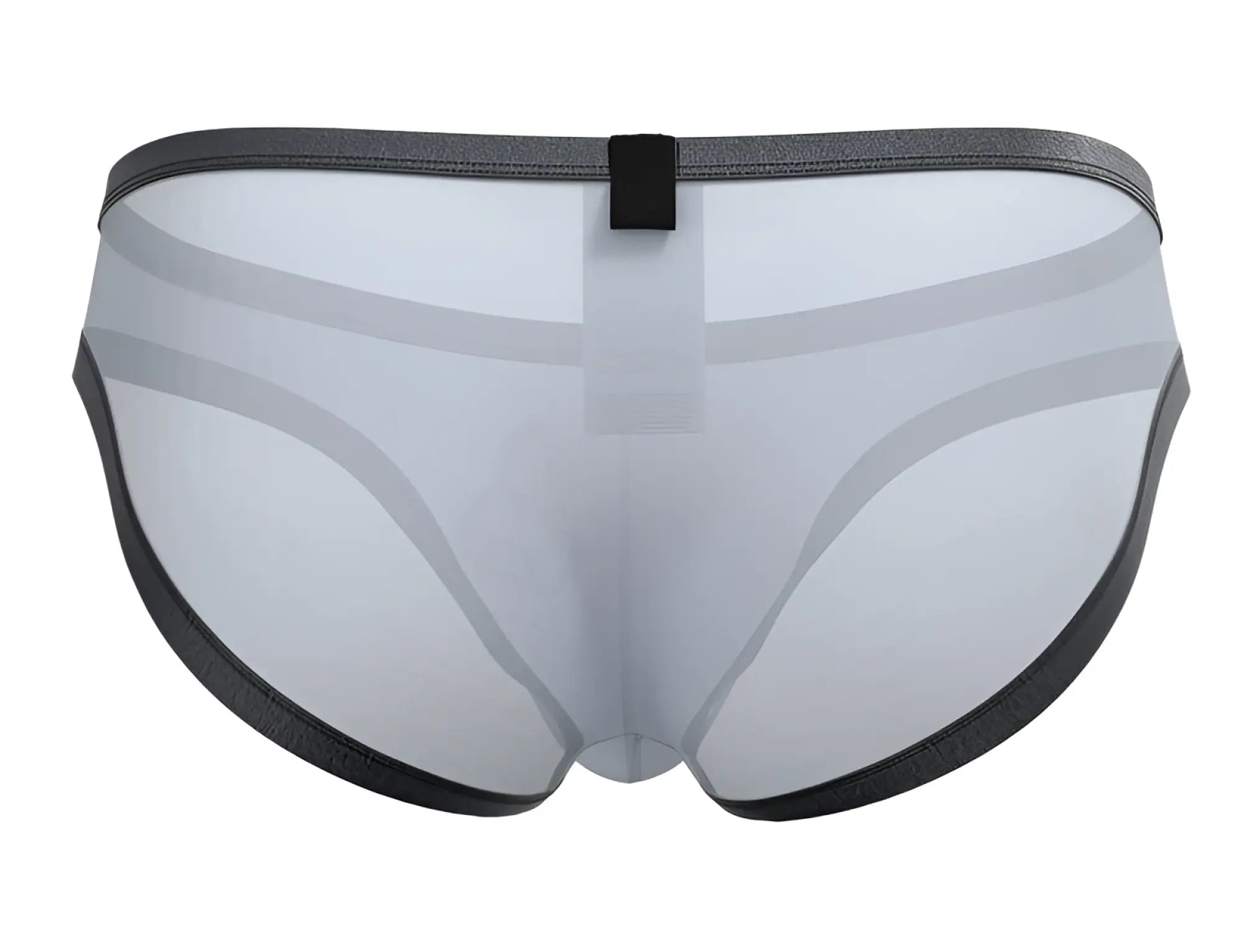 Transparent gray mesh briefs with black elastic trim and central black tab in private structure brut4393 bare bikini lilac color