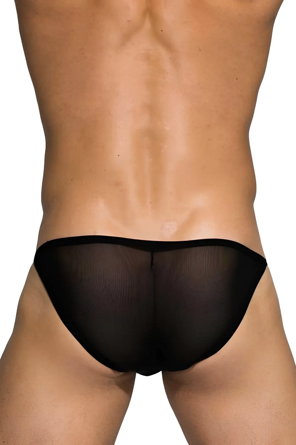 Black sheer mesh briefs private structure diamu3454bt desire intima low rise bikini in black showing front view