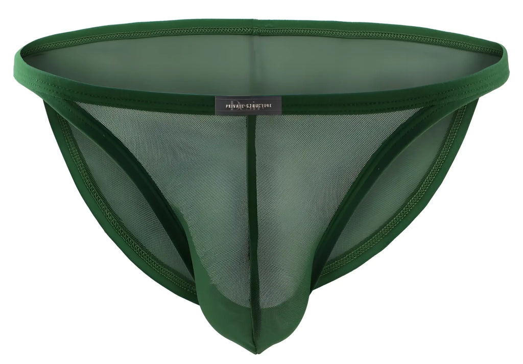 Dark green mesh thong with solid fabric waistband and leg openings from private structure desire intima low rise bikini