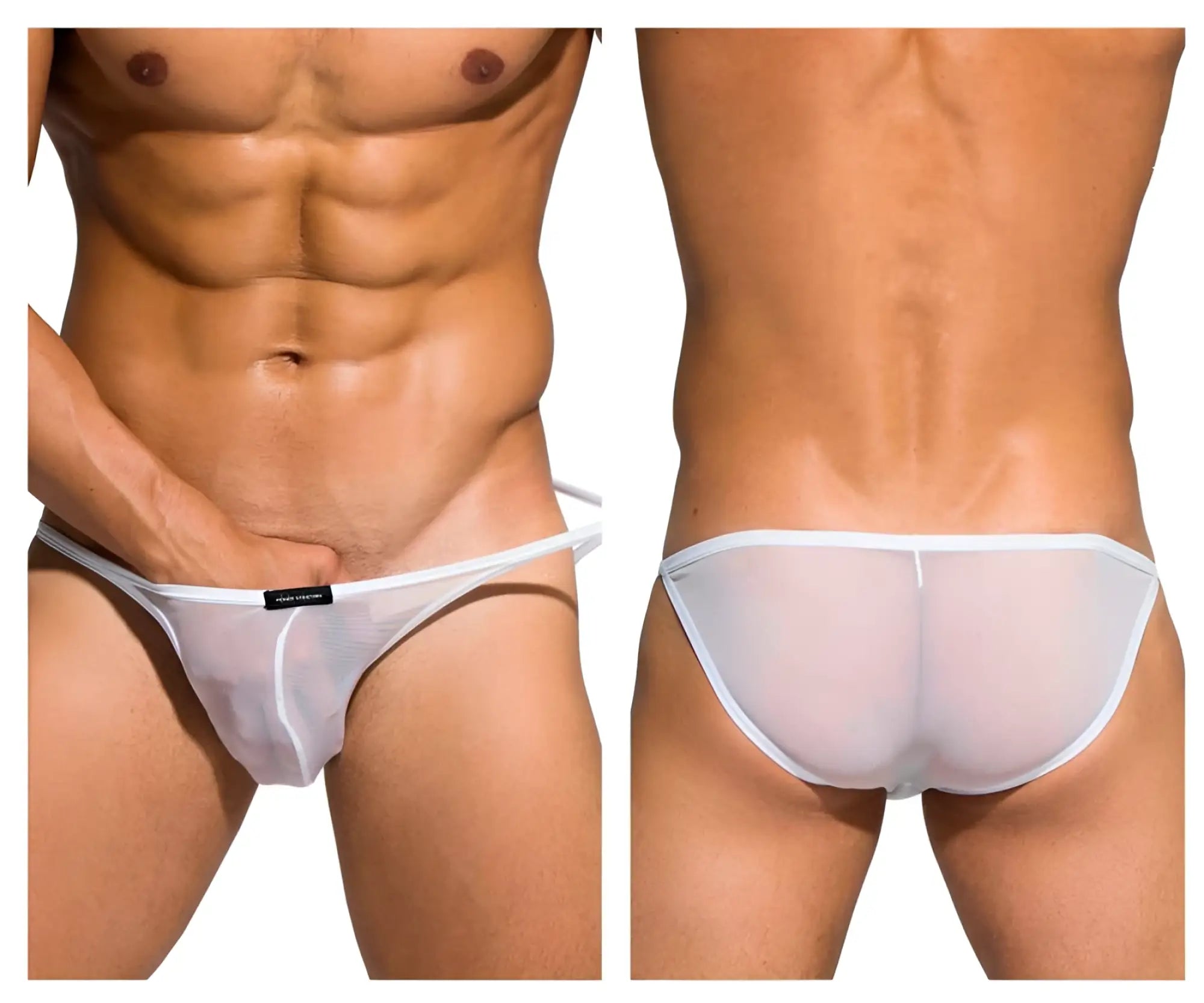 White sheer mesh briefs with a thin white waistband from private structure desire intima low rise bikini collection