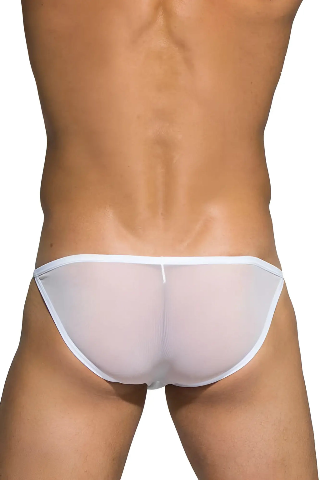 White sheer mesh low rise bikini briefs with white elastic waistband by Private Structure DIAMU3454BT desire intima
