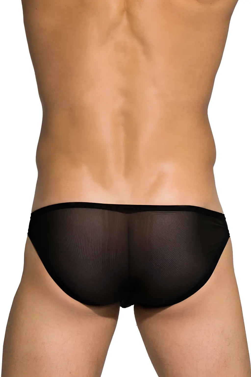 Black sheer mesh briefs private structure DIAMU3455BT desire intima low rise bikini shown from the back side