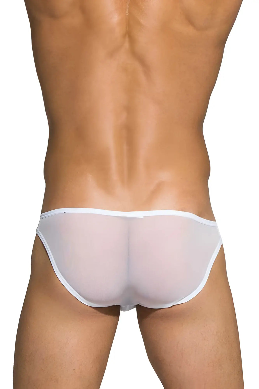 White sheer mesh low rise bikini briefs with solid white waistband by private structure in desire intima collection