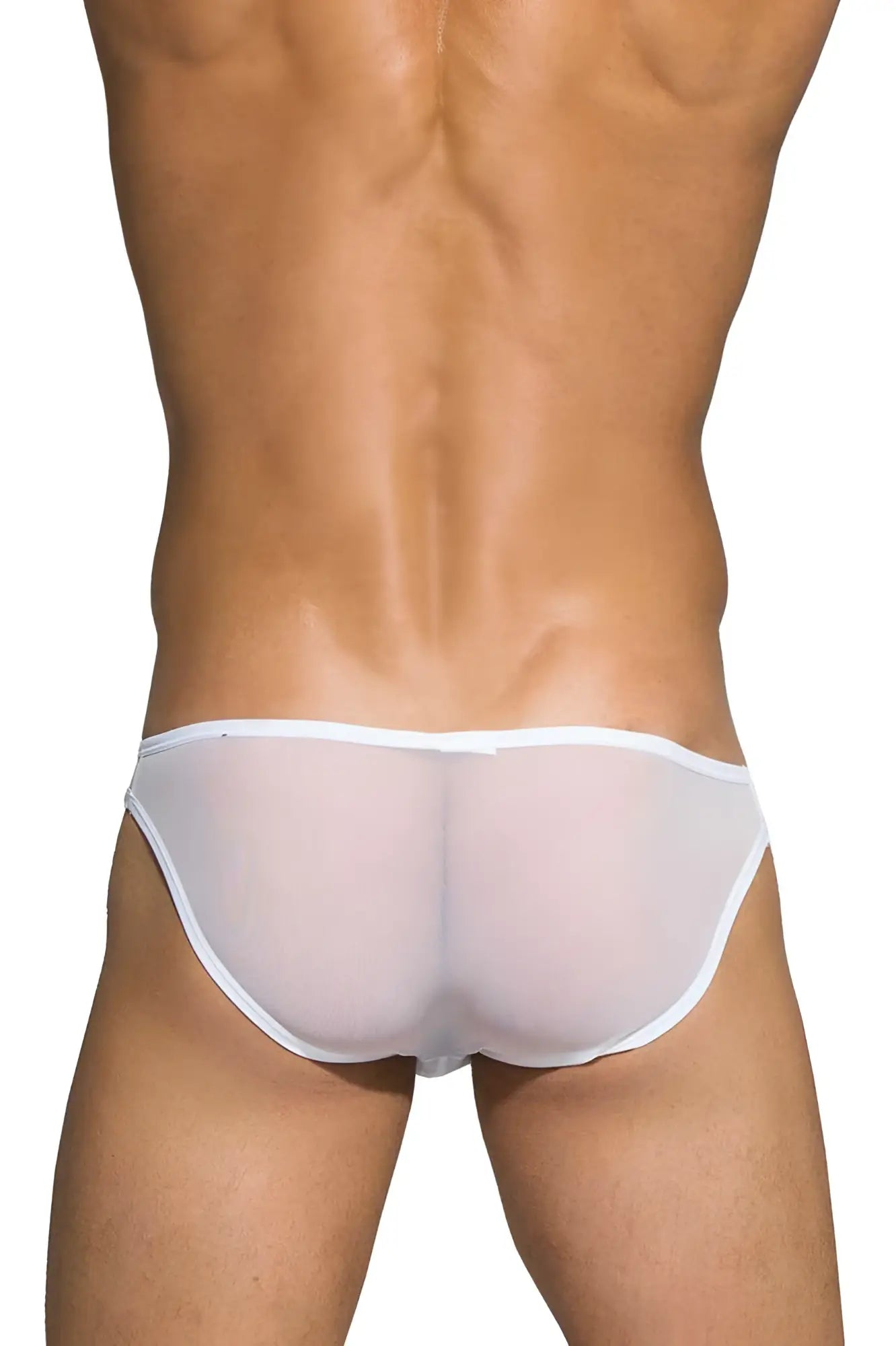 White sheer mesh low rise bikini briefs with solid white waistband by private structure in desire intima collection