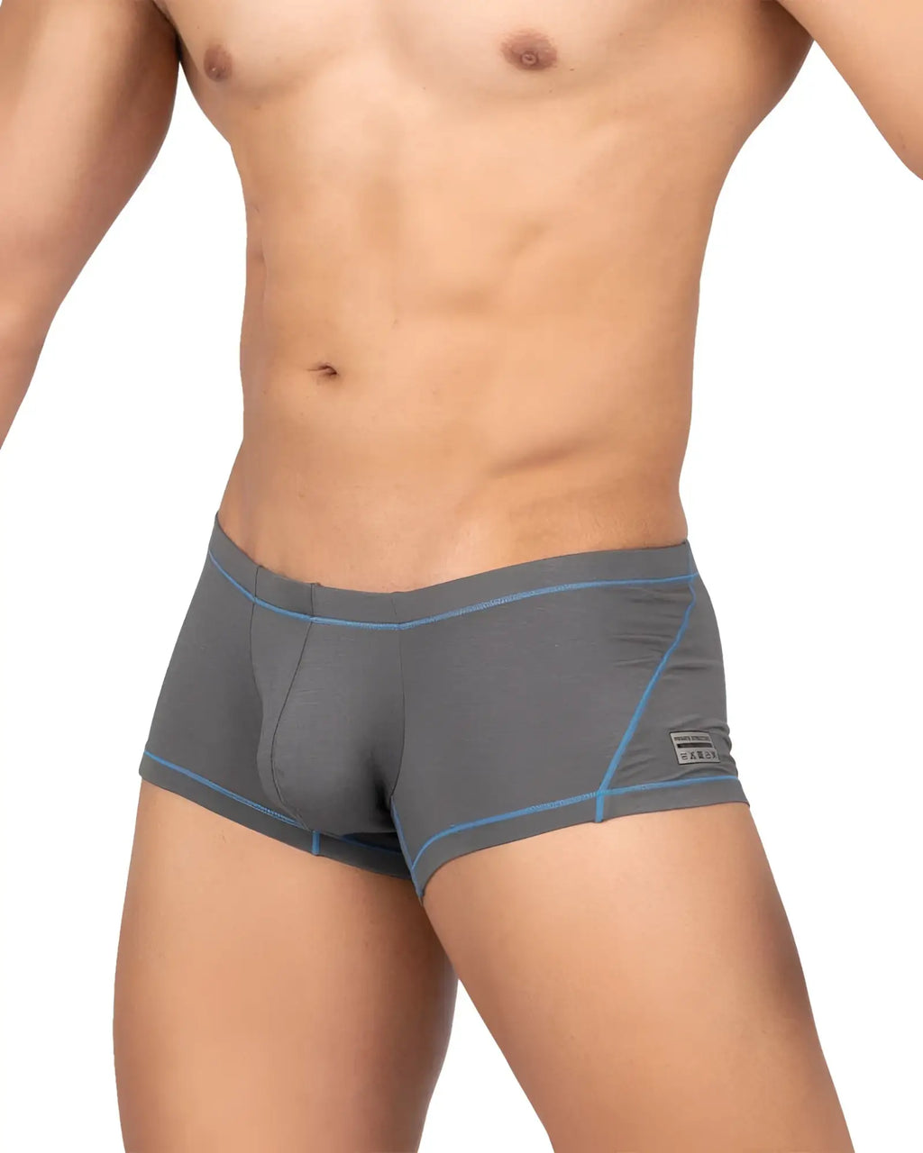 Gray private structure EPUS4570 Prime Elysian hipster briefs with light blue stitching and a small side brand tag