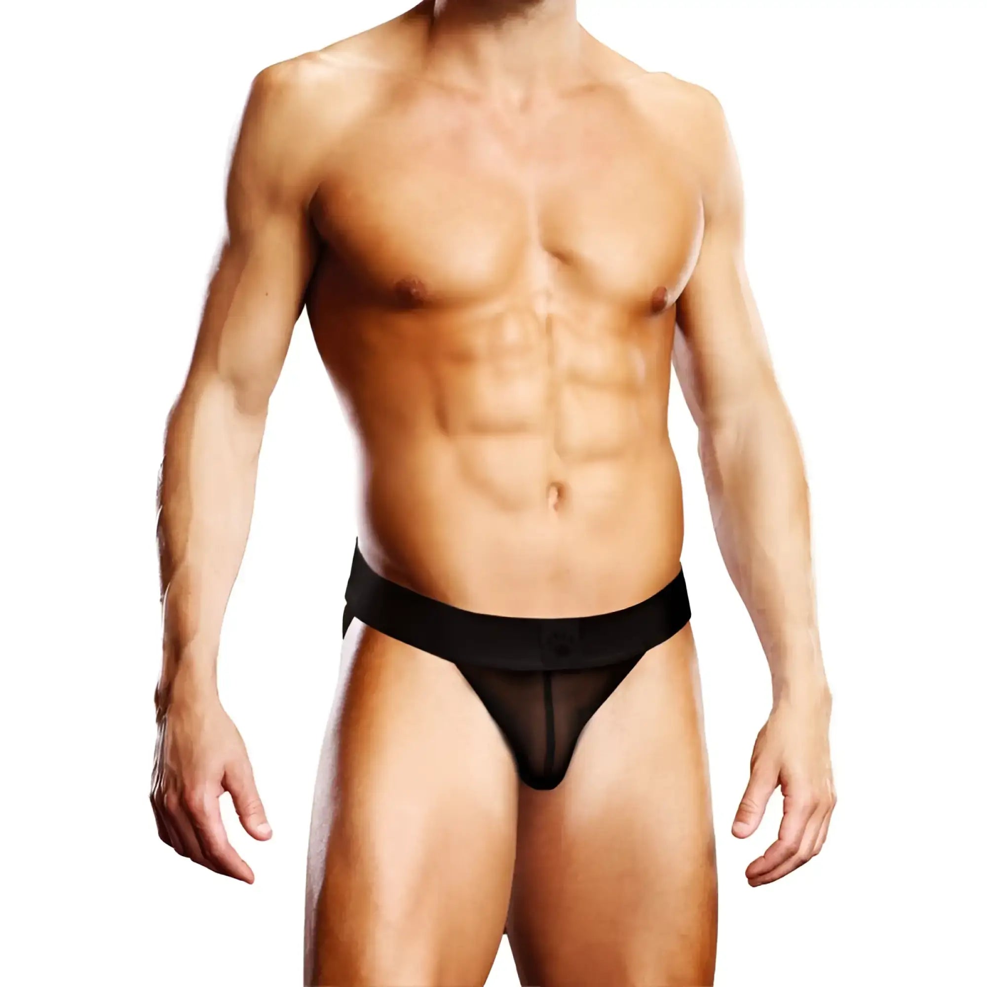 Black sheer mesh thong with solid black waistband shown from the back in prowler mesh jock black l style