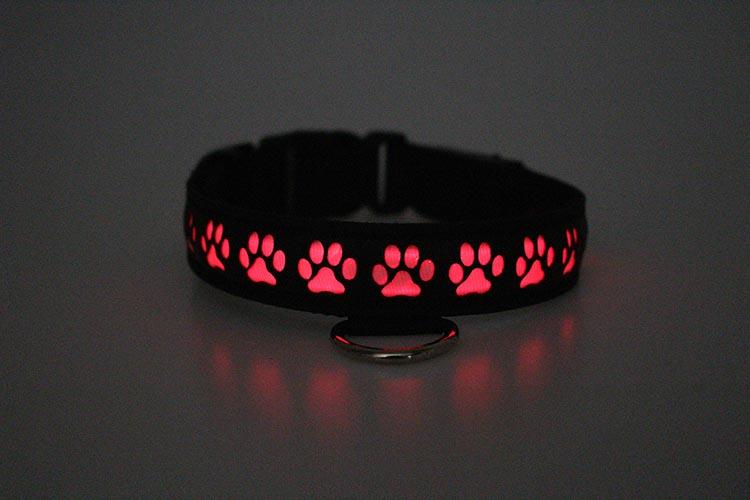 Breedwell Gay Men's Pup Collar