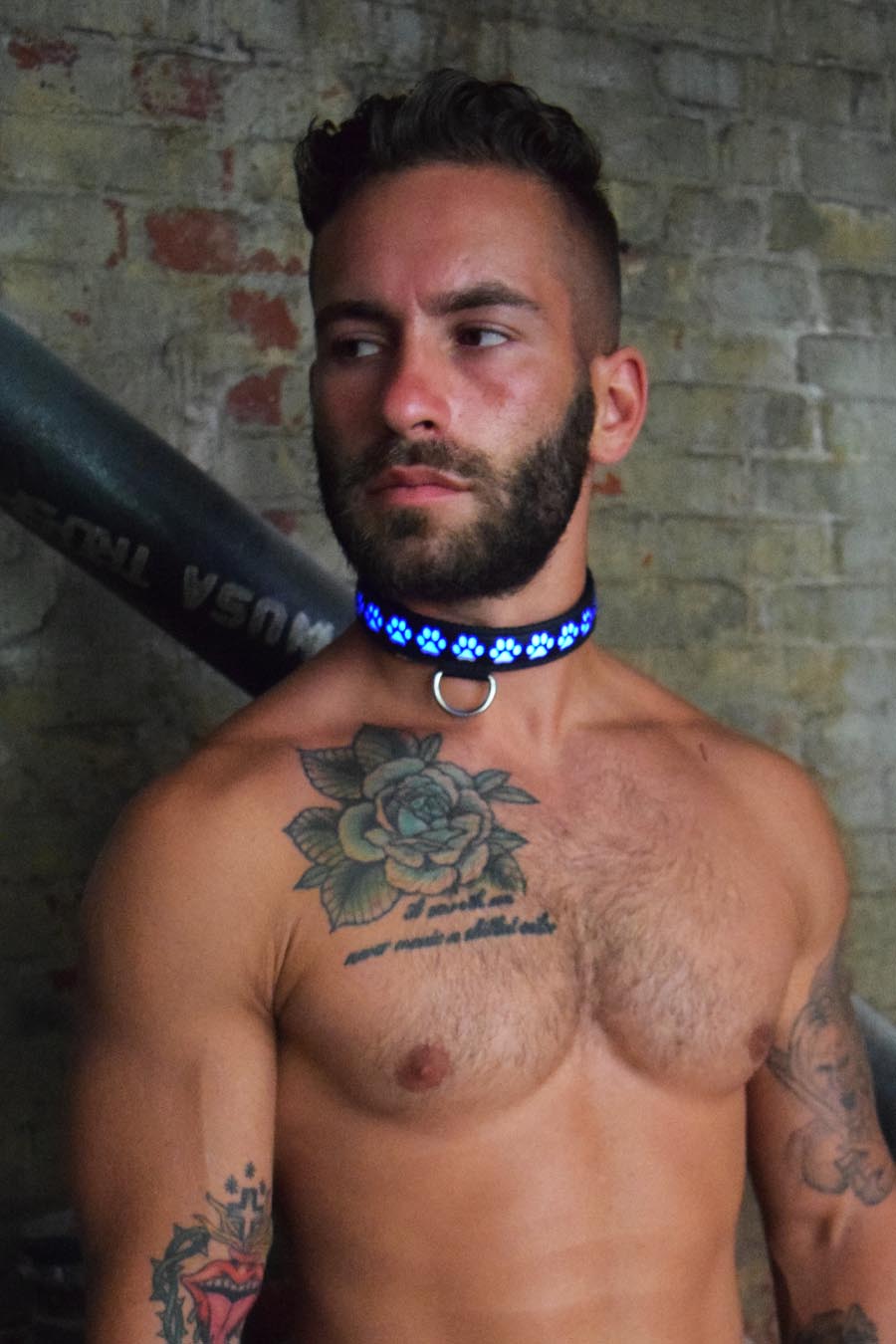 Breedwell Gay Men's Pup Collar