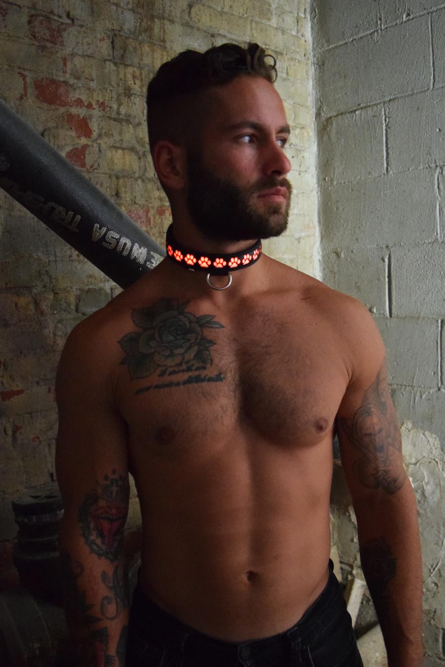 Breedwell Gay Men's Pup Collar