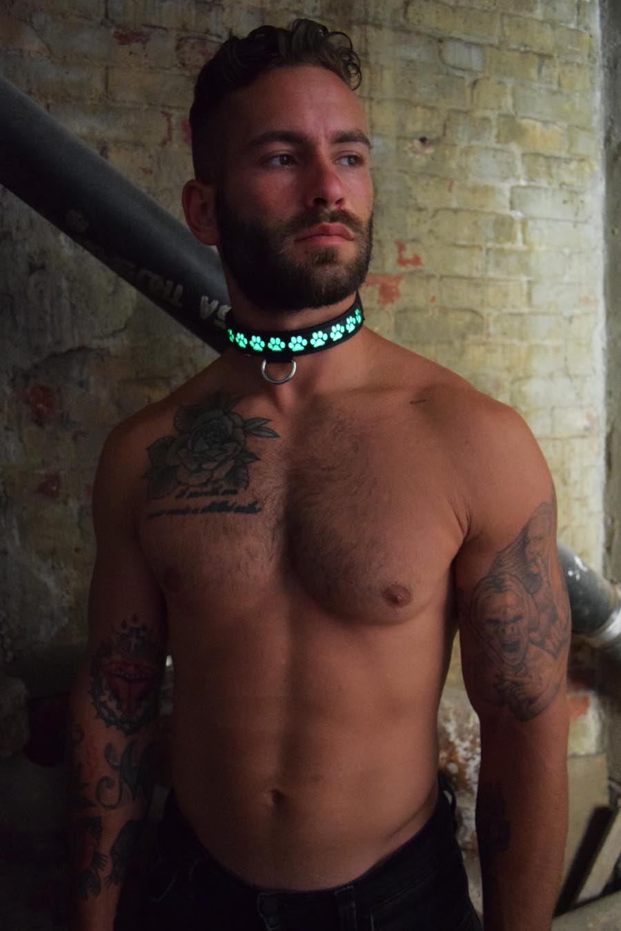 Breedwell Gay Men's Pup Collar