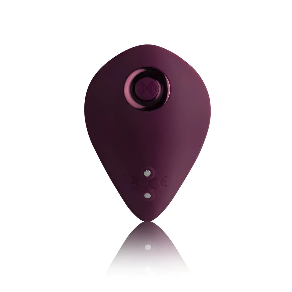 A sleek teardrop-shaped purple rocks off knickerbocker glory panty vibe with smooth matte finish and circular control button