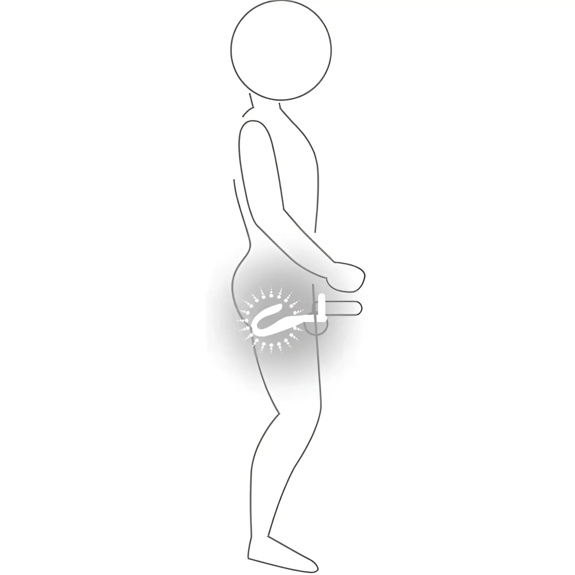 White outline illustration of a person showing an internal medical device in the pelvic region for rocks off the vibe cock ball and anal stimulator