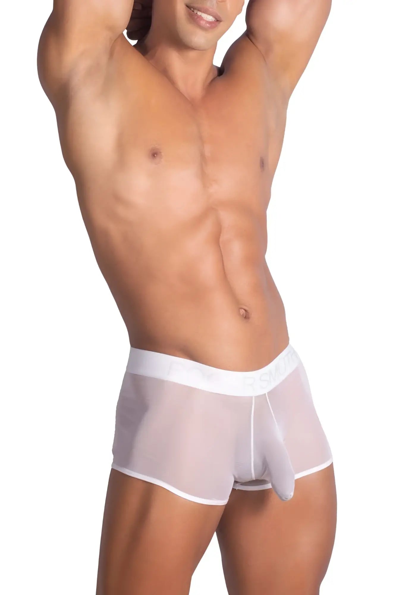 White sheer mesh briefs with white elastic waistband from roger smuth rs072 trunks in color white