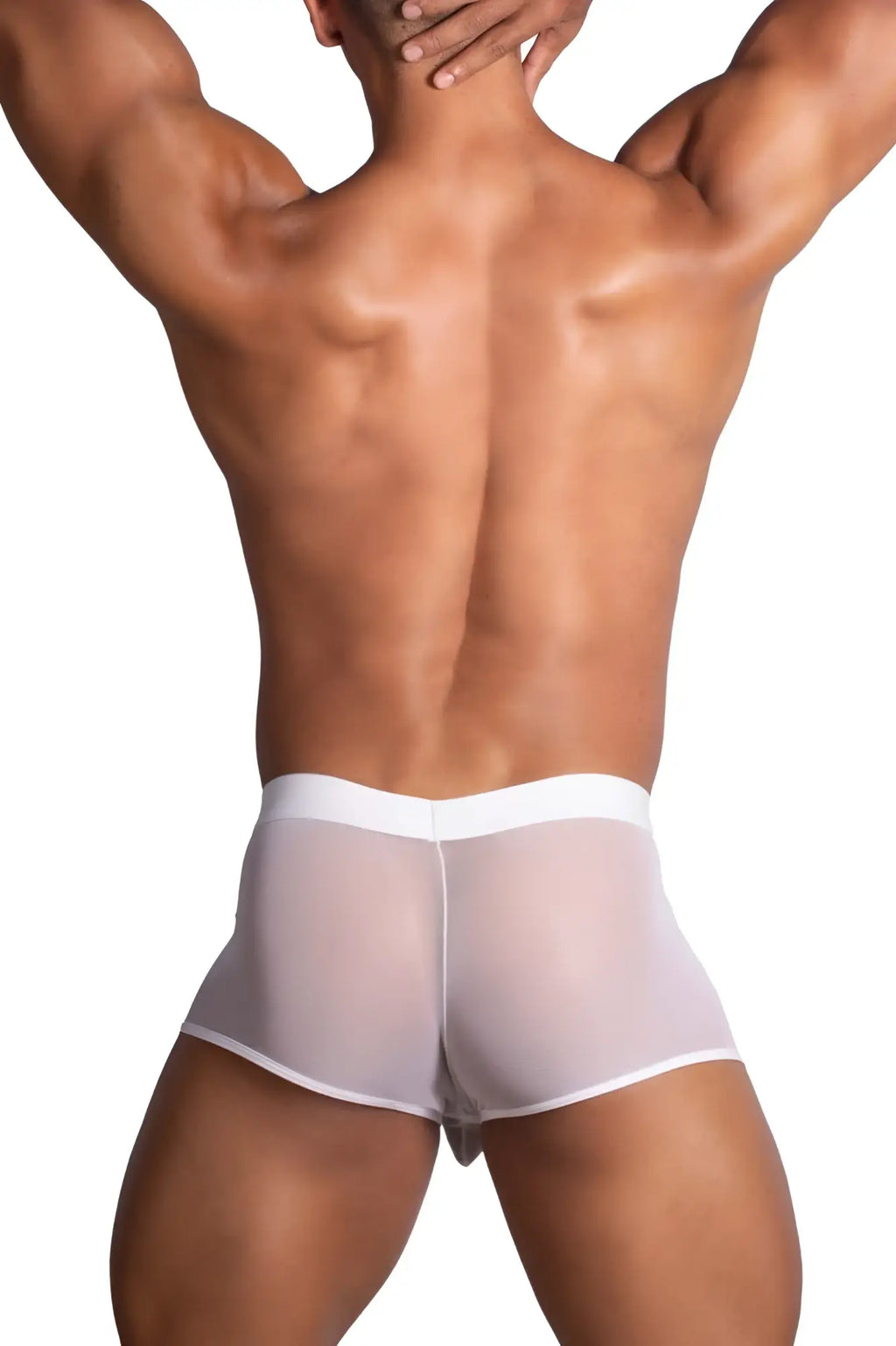 Roger smuth rs072 trunks white transparent white mesh briefs with solid white waistband front view