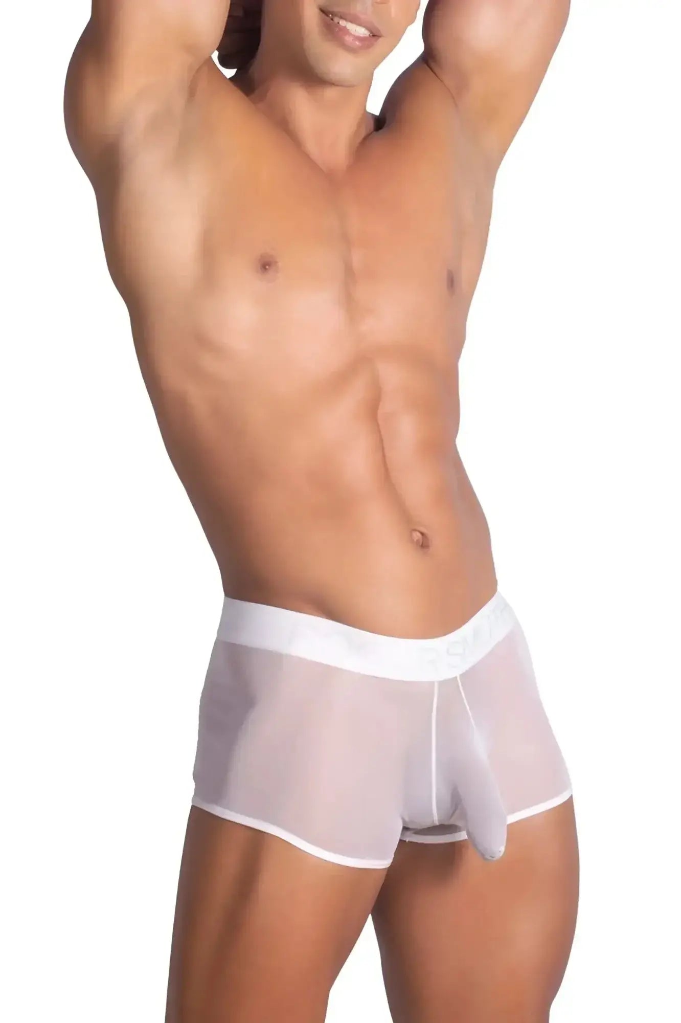White sheer mesh briefs with white elastic waistband from roger smuth rs072 trunks in color white
