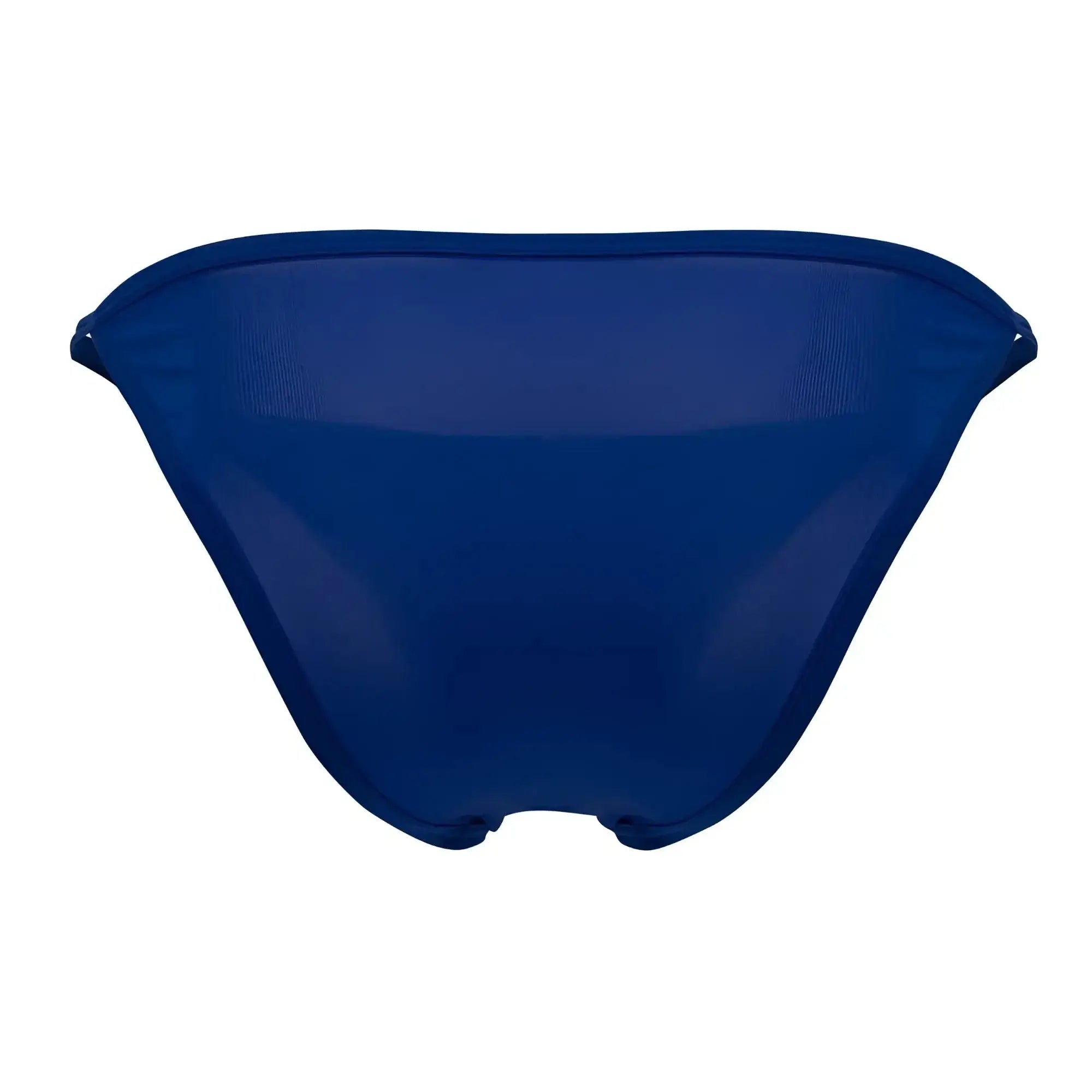 Royer smuth rs084 bikini royal blue sheer mesh bottom with deep blue color and sleek minimalist design