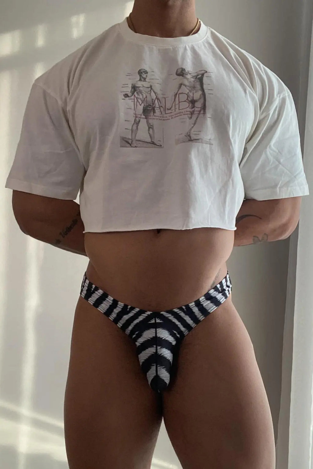 JJ Malibu Men's Slimmer Bulge Briefs - Zebra Print