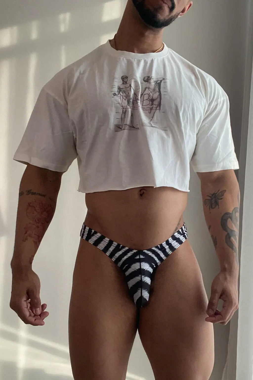JJ Malibu Men's Slimmer Bulge Briefs - Zebra Print