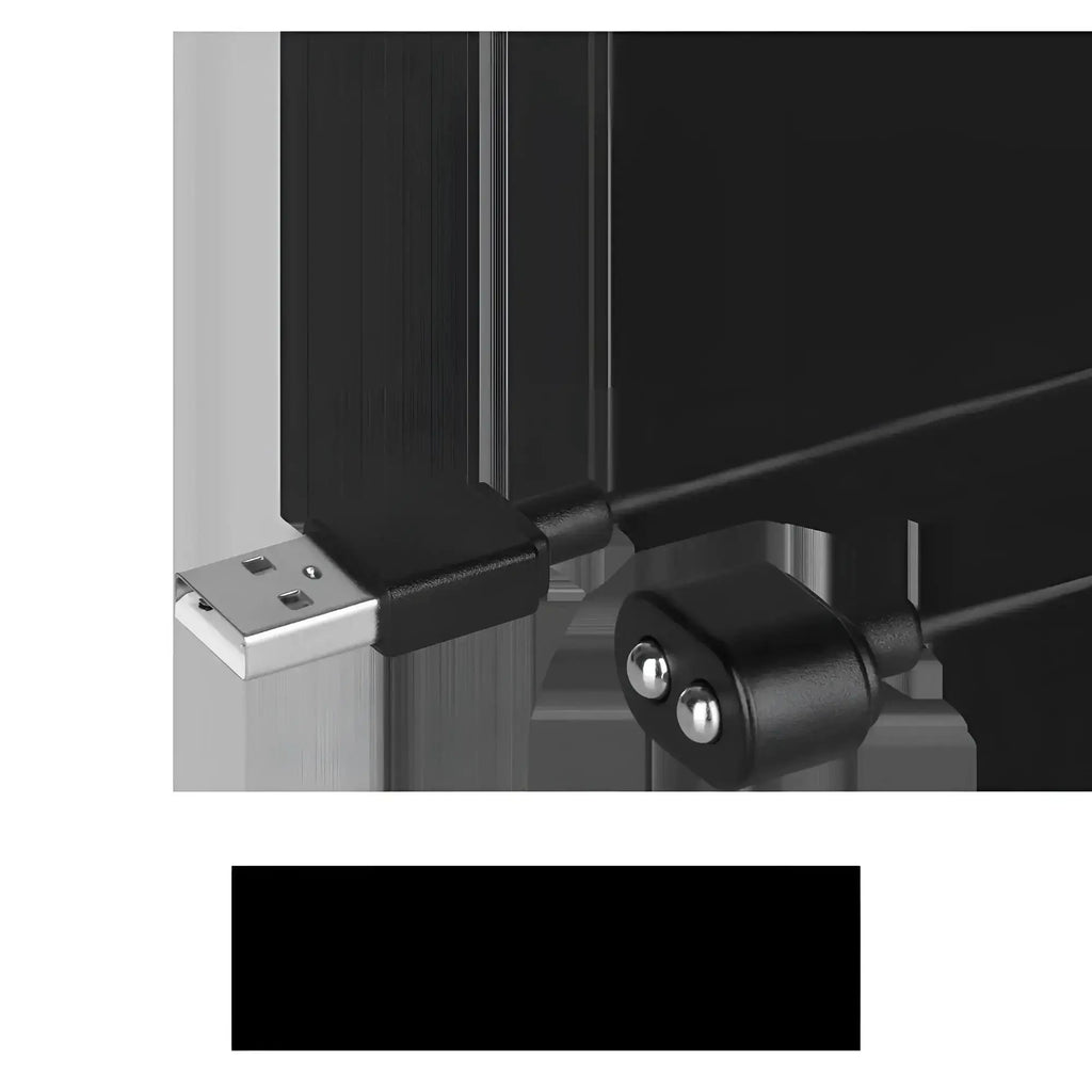 Black usb charge cable for satisfyer with a silver connector and two metallic spheres on the other end