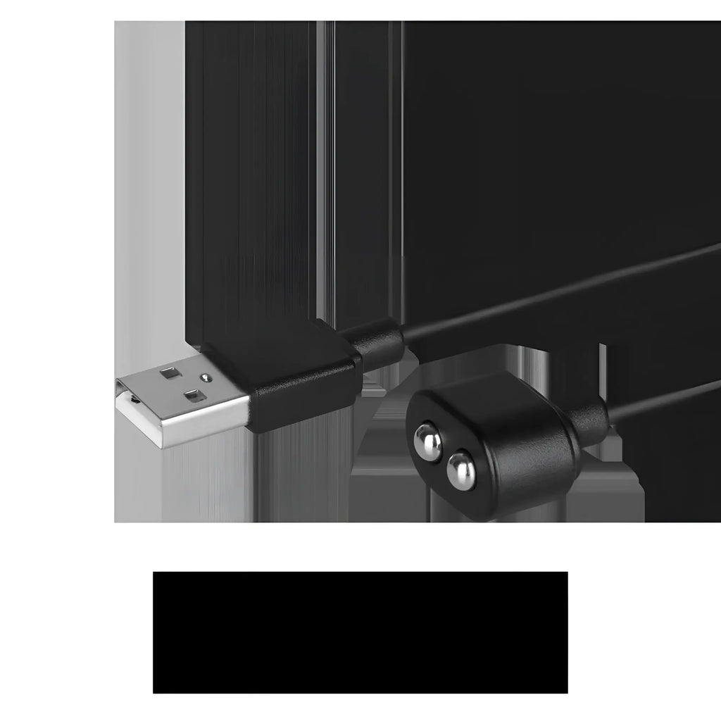 Black usb charge cable for satisfyer with a silver connector and two metallic spheres on the other end