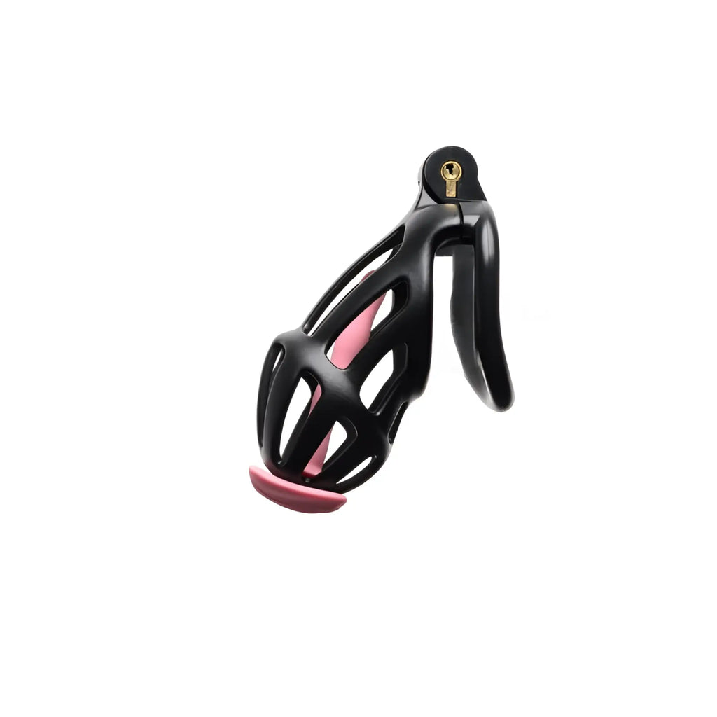 Sport Fucker Centurion size 2 black cage-style chastity device with pink padding and gold lock mechanism