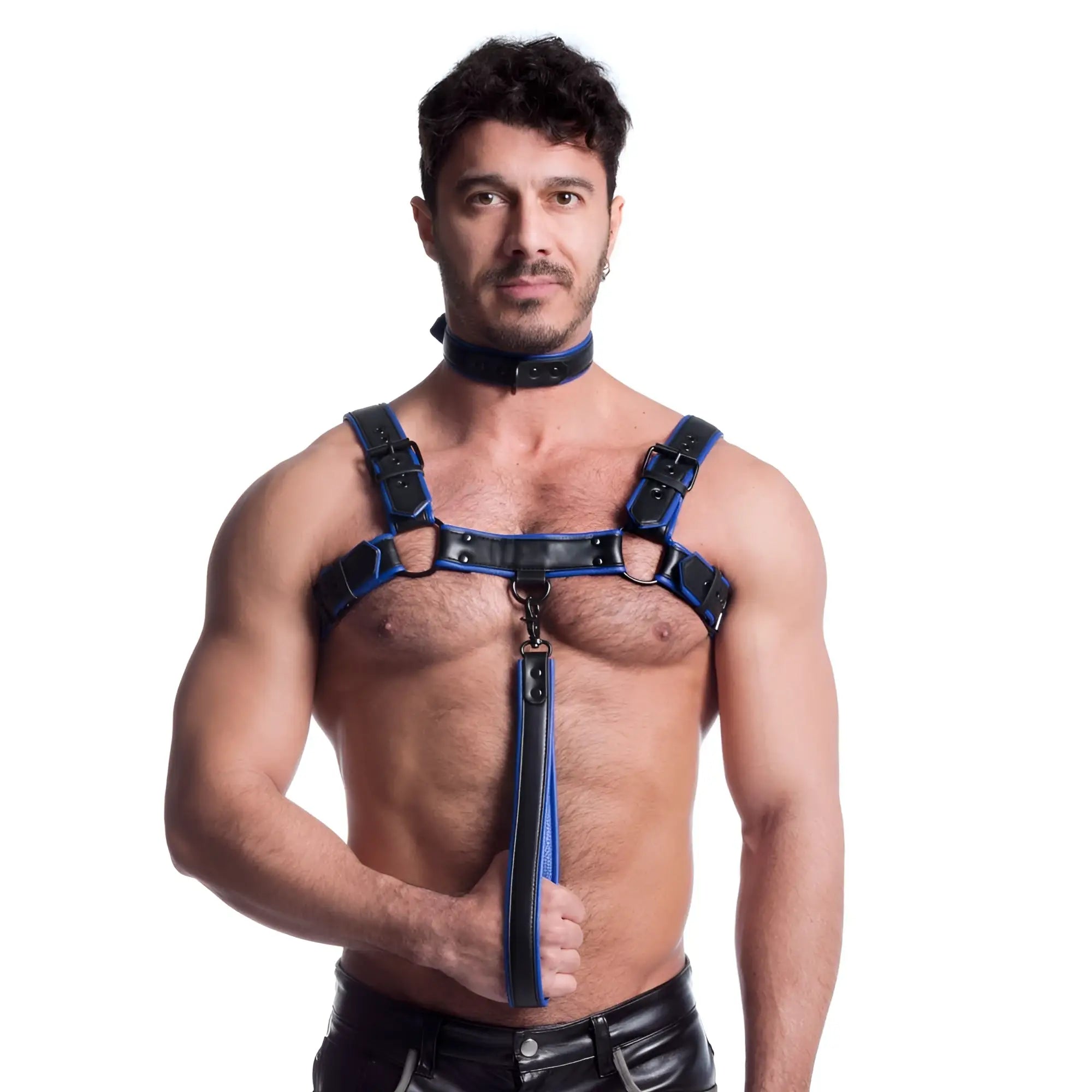 Blue and black vegan leather sport fucker bulldog harness with adjustable straps and central hanging strap l/xl