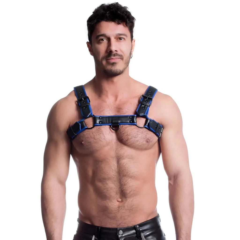 Sport fucker vegan bulldog harness black and blue leather with adjustable straps and metal buckles in lxl size