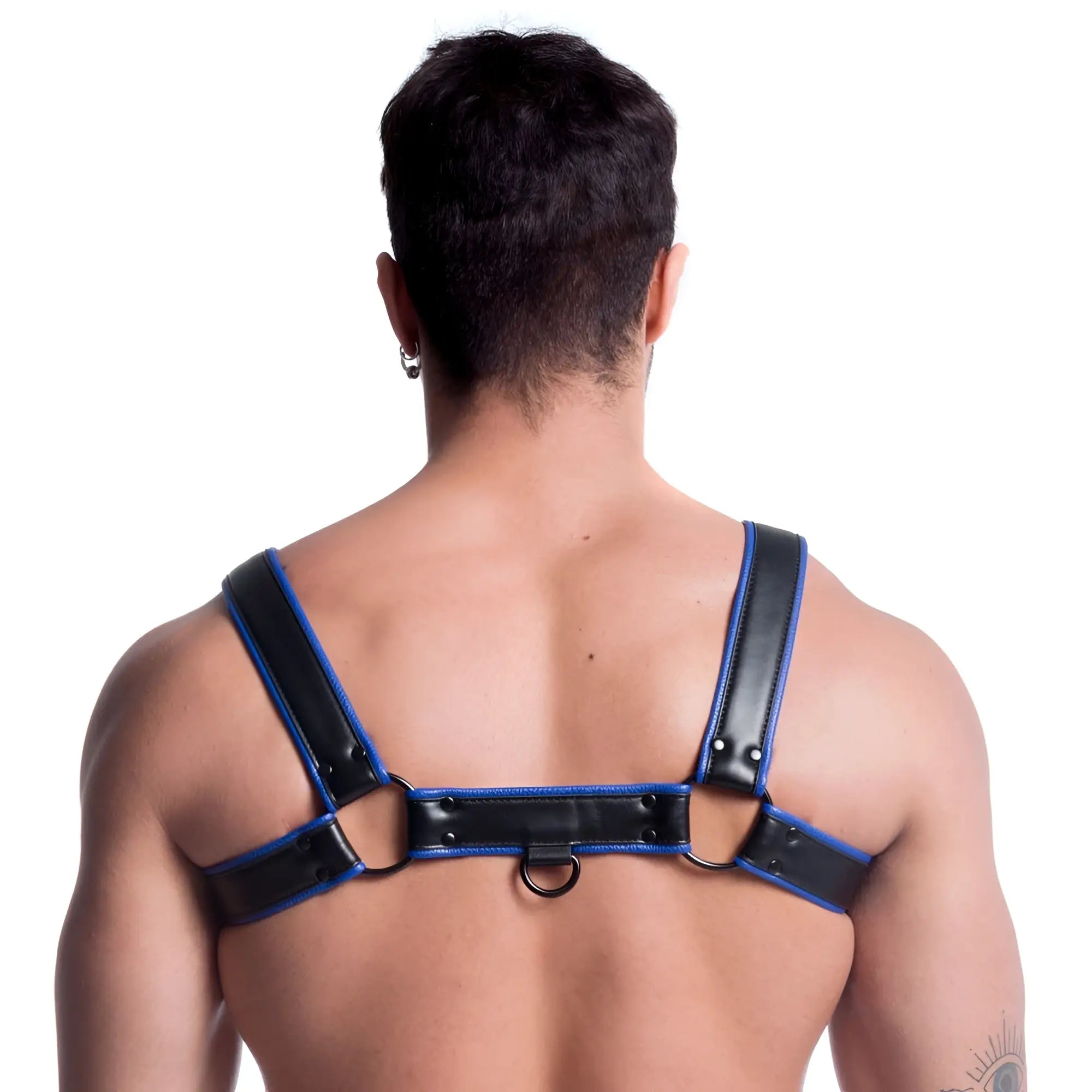 Black leather vegan bulldog harness with blue trim and metal rings in size small medium front view
