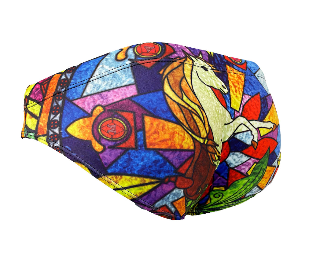 Maris Equi Stained Glass Men's Swim Briefs