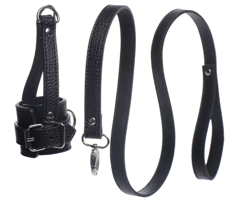 Black textured leather leash set with silver toned buckle hardware for strict strict ball stretcher use