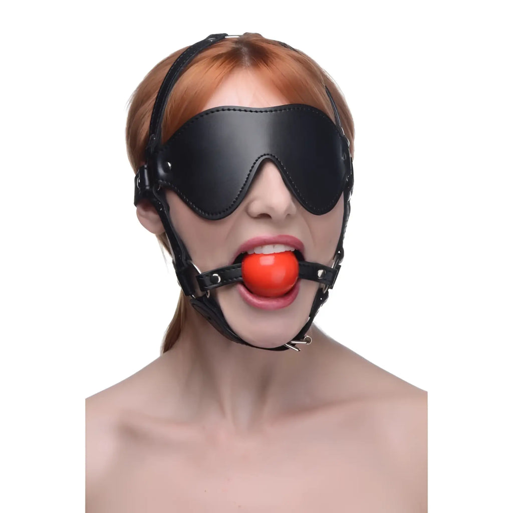 Black leather blindfold harness with a red spherical ball gag for restraint and sensory play