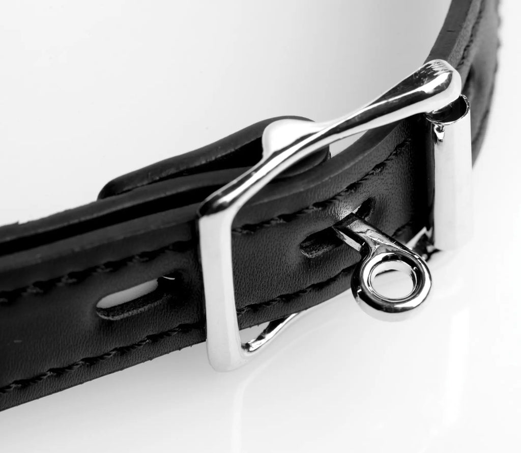 Black leather dog collar with polished silver metal buckle and d-ring for strict claw hook mouth spreader use