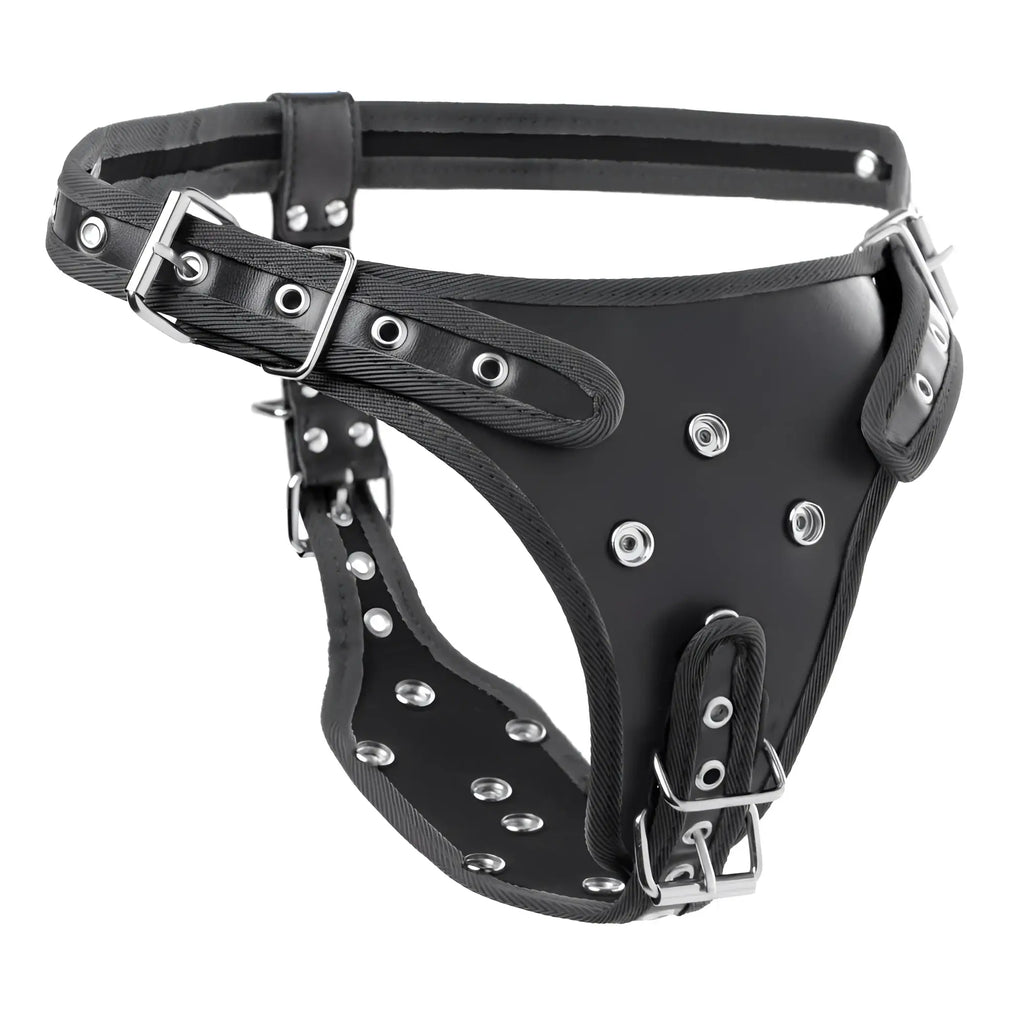 Black leather strict double penetration strap on harness with silver metal buckles and studs for secure fit
